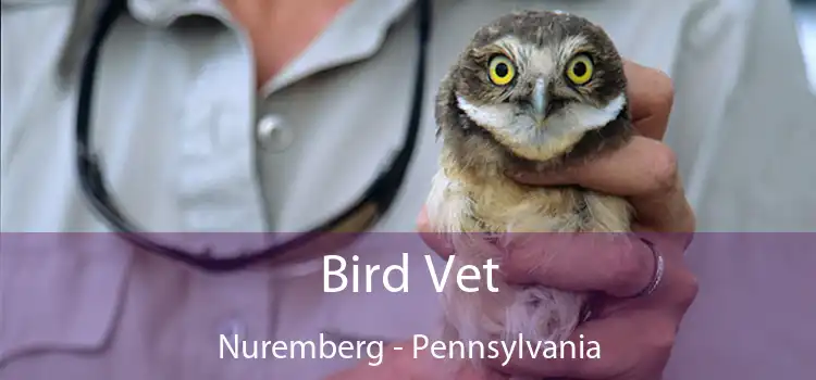 Bird Vet Nuremberg - Pennsylvania