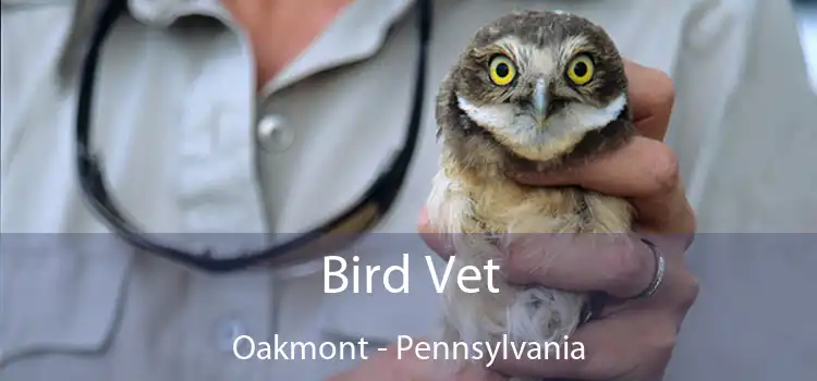 Bird Vet Oakmont - Pennsylvania