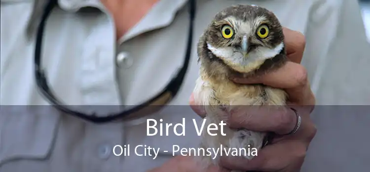 Bird Vet Oil City - Pennsylvania