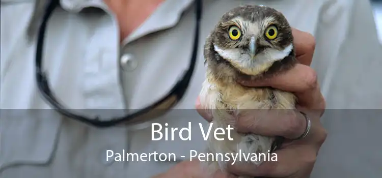 Bird Vet Palmerton - Pennsylvania