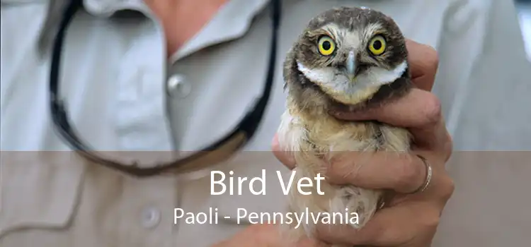 Bird Vet Paoli - Pennsylvania