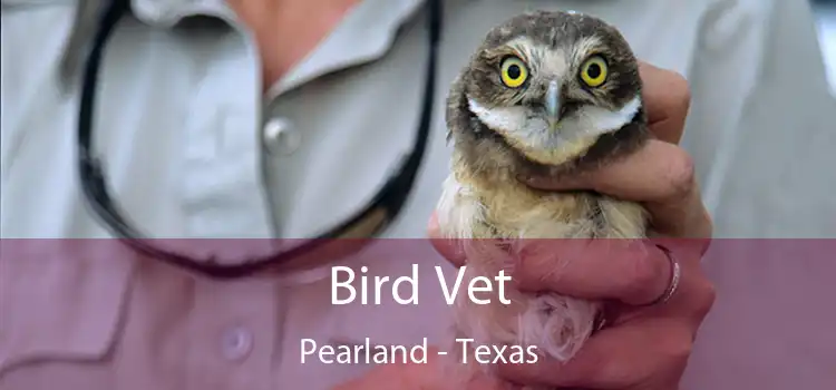 Bird Vet Pearland - Texas
