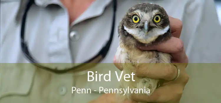 Bird Vet Penn - Pennsylvania