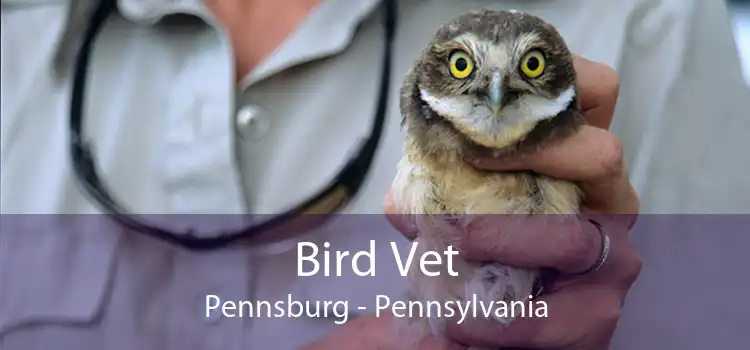 Bird Vet Pennsburg - Pennsylvania