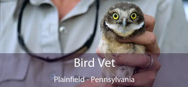 Bird Vet Plainfield - Pennsylvania