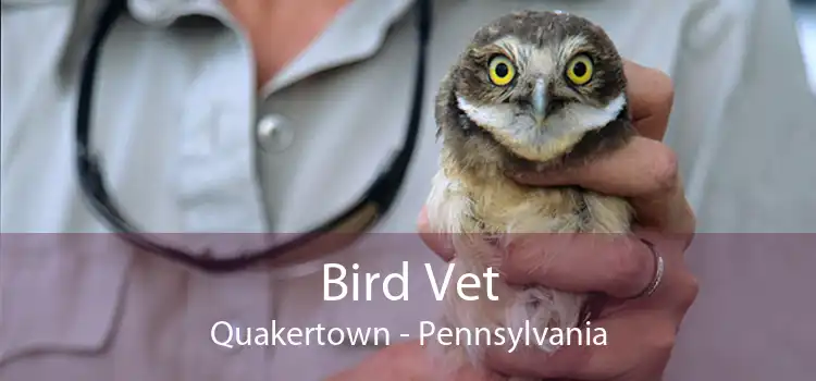 Bird Vet Quakertown - Pennsylvania