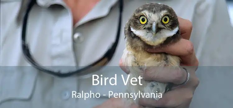 Bird Vet Ralpho - Pennsylvania