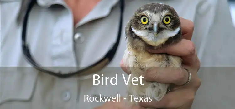 Bird Vet Rockwell - Texas