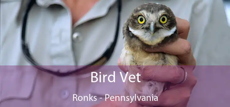 Bird Vet Ronks - Pennsylvania