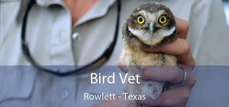 Bird Vet Rowlett - Texas