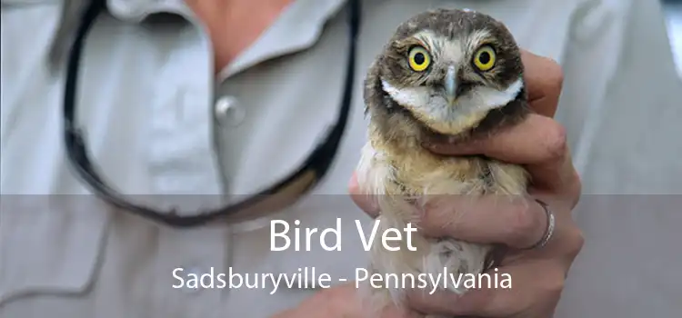 Bird Vet Sadsburyville - Pennsylvania
