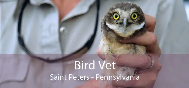 Bird Vet Saint Peters - Pennsylvania