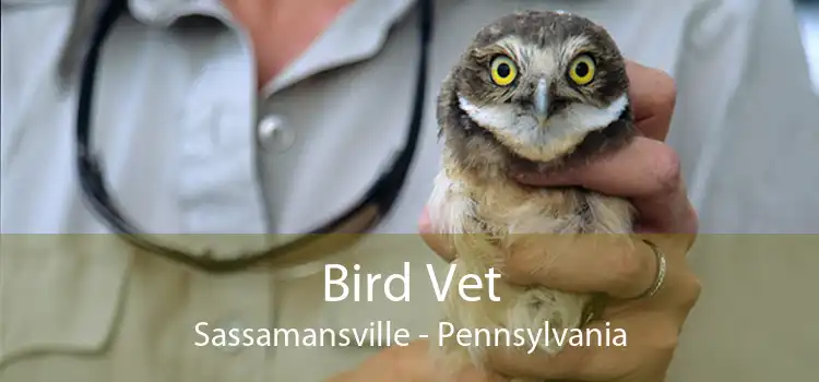 Bird Vet Sassamansville - Pennsylvania