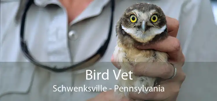 Bird Vet Schwenksville - Pennsylvania