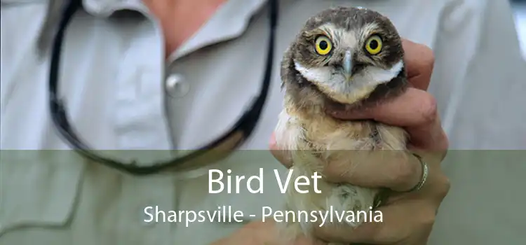 Bird Vet Sharpsville - Pennsylvania