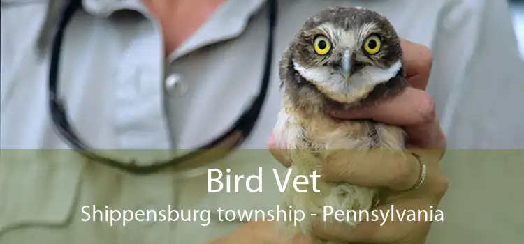 Bird Vet Shippensburg township - Pennsylvania