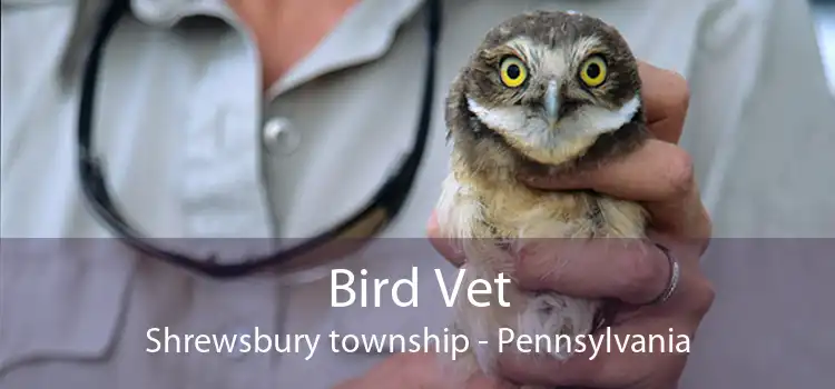 Bird Vet Shrewsbury township - Pennsylvania
