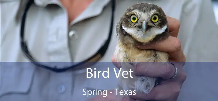 Bird Vet Spring - Texas