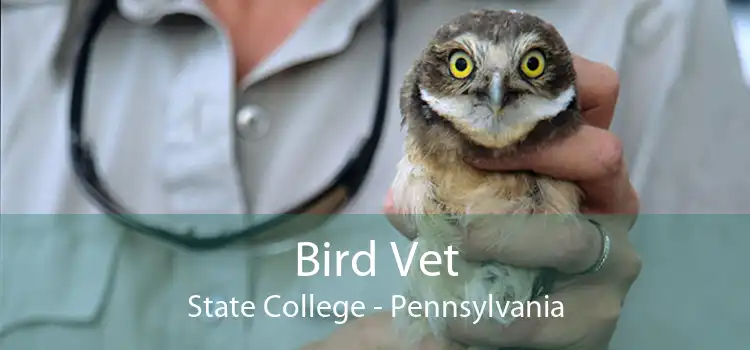 Bird Vet State College - Pennsylvania