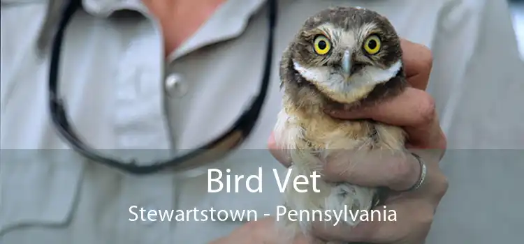 Bird Vet Stewartstown - Pennsylvania