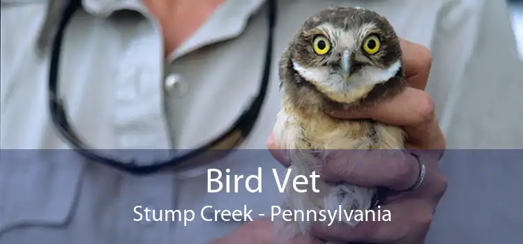 Bird Vet Stump Creek - Pennsylvania