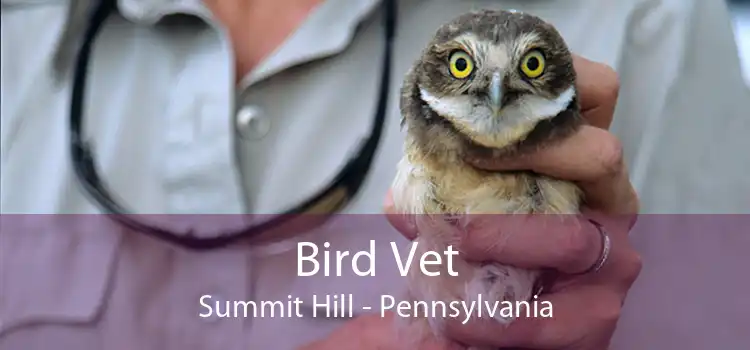 Bird Vet Summit Hill - Pennsylvania