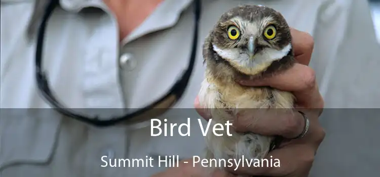 Bird Vet Summit Hill - Pennsylvania