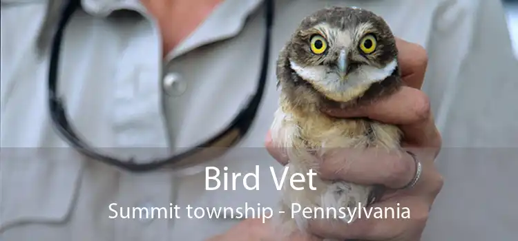 Bird Vet Summit township - Pennsylvania