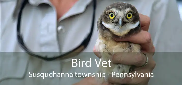 Bird Vet Susquehanna township - Pennsylvania