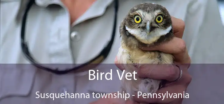 Bird Vet Susquehanna township - Pennsylvania