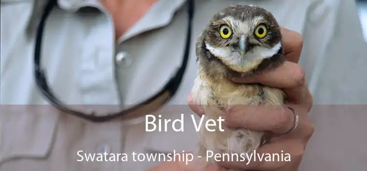 Bird Vet Swatara township - Pennsylvania