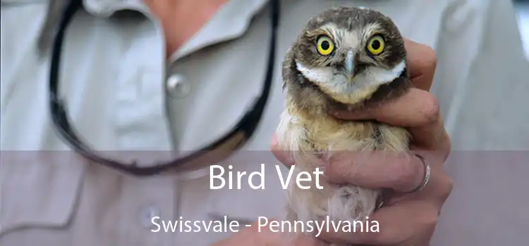 Bird Vet Swissvale - Pennsylvania