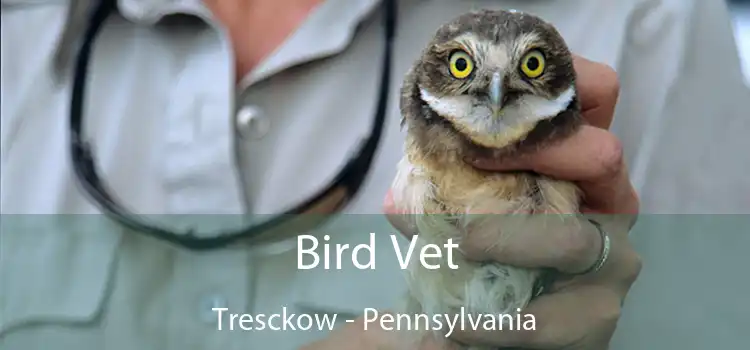 Bird Vet Tresckow - Pennsylvania