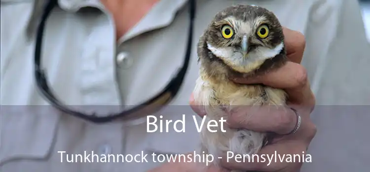 Bird Vet Tunkhannock township - Pennsylvania