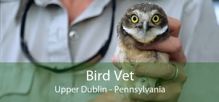 Bird Vet Upper Dublin - Pennsylvania