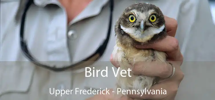 Bird Vet Upper Frederick - Pennsylvania