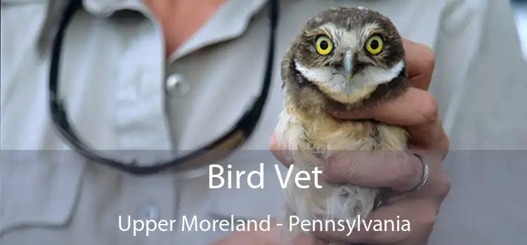 Bird Vet Upper Moreland - Pennsylvania