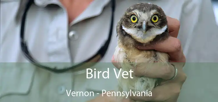 Bird Vet Vernon - Pennsylvania