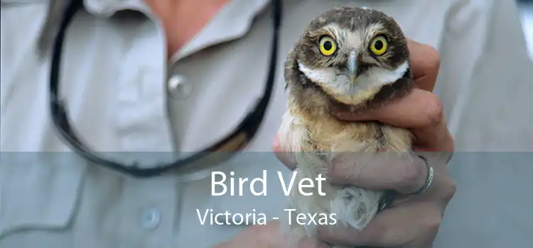 Bird Vet Victoria - Texas