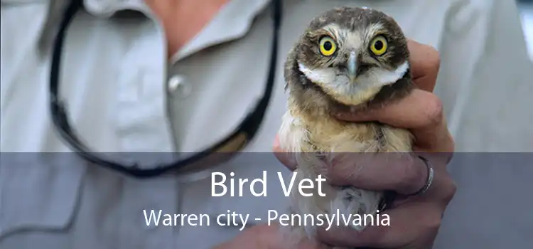 Bird Vet Warren city - Pennsylvania
