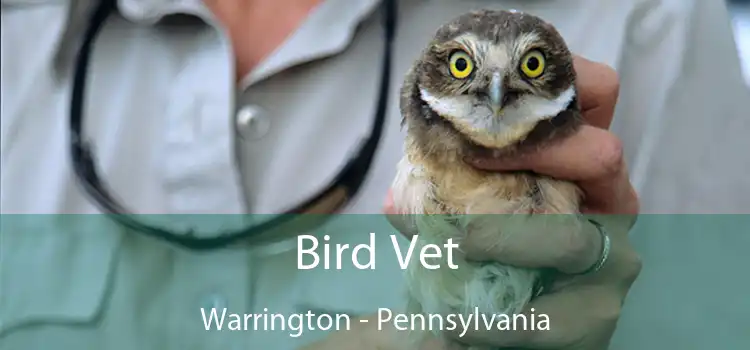 Bird Vet Warrington - Pennsylvania
