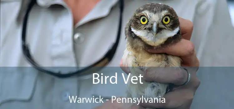 Bird Vet Warwick - Pennsylvania