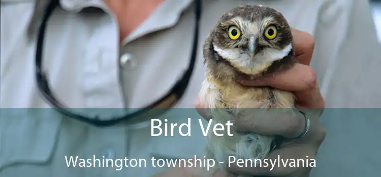 Bird Vet Washington township - Pennsylvania