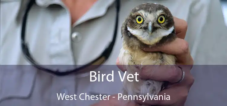 Bird Vet West Chester - Pennsylvania