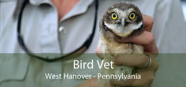 Bird Vet West Hanover - Pennsylvania