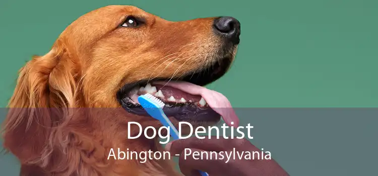 Dog Dentist Abington - Pennsylvania