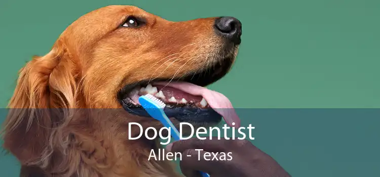 Dog Dentist Allen - Texas