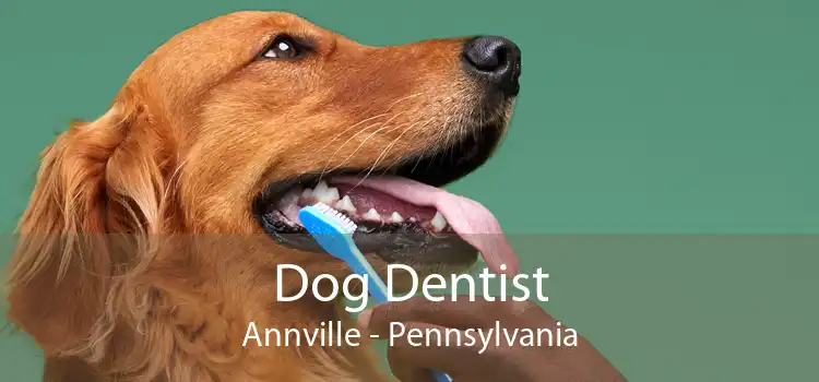 Dog Dentist Annville - Pennsylvania