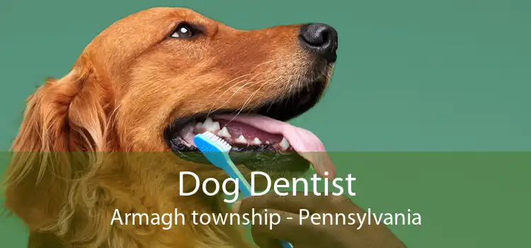 Dog Dentist Armagh township - Pennsylvania