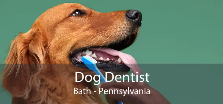 Dog Dentist Bath - Pennsylvania